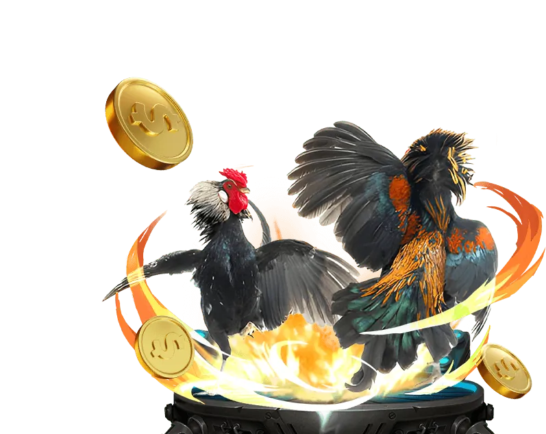 win68 club cam kết bảo vệ người chơi